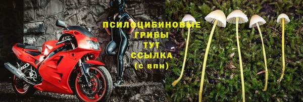 ALPHA PVP Михайловка