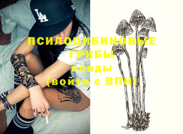 a pvp Медвежьегорск